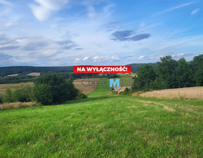 Rolny na sprzedaż, Kielecki Raków Ociesęki, 125 000 zł, 22 400 m2, TWJ-GS-1561-1