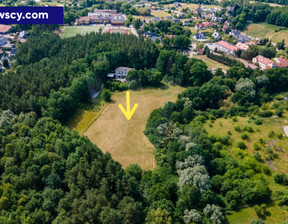 Budowlany na sprzedaż, Gdański Pruszcz Gdański Straszyn, 3 199 000 zł, 12 742 m2, 216816