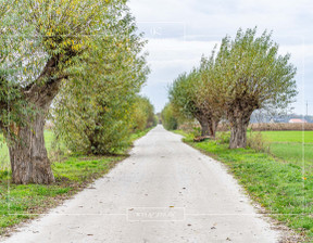 Działka na sprzedaż, Poznański Buk Niepruszewo Leśna, 750 000 zł, 3788 m2, 171520