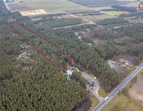 Leśne na sprzedaż, Buski (Pow.) Busko-Zdrój (Gm.) Skorzów, 80 000 zł, 18 300 m2, 18281274
