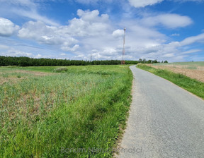 Działka na sprzedaż, Ząbkowicki Bardo Dębowina, 887 000 zł, 19 200 m2, 86/8514/OGS