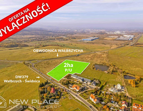 Działka na sprzedaż, Wałbrzyski Walim Dziećmorowice Stary Julianów, 3 600 000 zł, 20 000 m2, NP127693