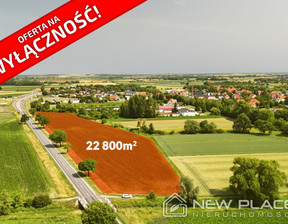 Przemysłowy na sprzedaż, Wrocławski Jordanów Śląski, 2 029 200 zł, 22 800 m2, NP954359