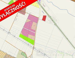 Przemysłowy na sprzedaż, Wrocławski Żórawina Krajków, 12 300 000 zł, 49 200 m2, NP778169