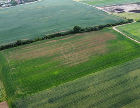 Działka na sprzedaż, Trzebnicki Zawonia Sędzice, 399 000 zł, 26 950 m2, 3137