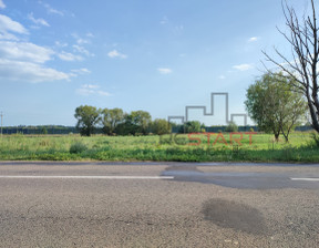 Działka na sprzedaż, Grodziski Grodzisk Mazowiecki Żuków, 330 000 zł, 6600 m2, RES385055