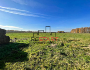 Działka na sprzedaż, Żyrardowski Wiskitki Hipolitów, 3 600 000 zł, 108 000 m2, RES561385