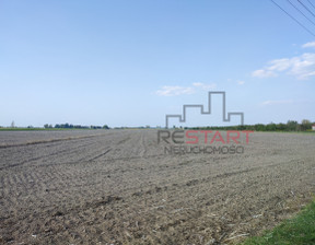 Działka na sprzedaż, Grodziski Grodzisk Mazowiecki Żuków, 980 000 zł, 24 500 m2, RES879691