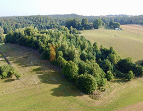 Działka na sprzedaż, Kartuski Chmielno Miechucino Strysza Góra, 799 000 zł, 10 700 m2, 38/9733/OGS