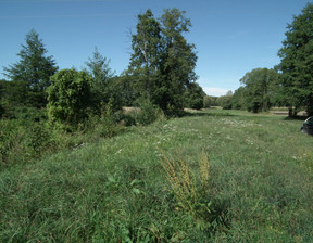 Rolny na sprzedaż, Ciechanowski (Pow.) Sońsk (Gm.) Ślubowo, 120 000 zł, 2432 m2, 129