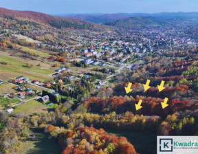 Działka na sprzedaż, Bieszczadzki Ustrzyki Dolne, 2 500 000 zł, 59 535 m2, KWA454440