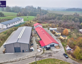 Magazyn do wynajęcia, Bielsko-Biała M. Bielsko-Biała, 20 000 zł, 910 m2, BCMN-HW-153