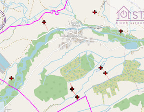 Rolny na sprzedaż, Nowotarski Nowy Targ Długopole, 172 000 zł, 17 298 m2, 319/11370/OGS