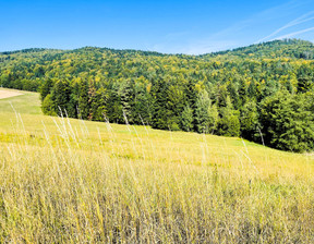 Działka na sprzedaż, Tarnowski Szerzyny Żurowa, 89 000 zł, 8500 m2, 1540/13924/OGS