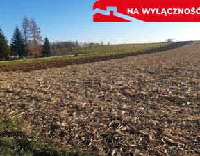 Rolny na sprzedaż, Tarnowski Wojnicz Świętej Kingi, 225 000 zł, 2900 m2, 1500/13924/OGS