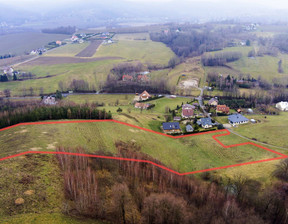 Rolny na sprzedaż, Tarnowski Tuchów Dąbrówka Tuchowska, 199 000 zł, 17 400 m2, 1213/13924/OGS