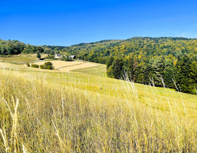 Działka na sprzedaż, Tarnowski Szerzyny Żurowa, 98 000 zł, 12 000 m2, 1539/13924/OGS