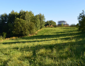 Działka na sprzedaż, Rzeszowski Tyczyn, 220 000 zł, 1000 m2, 1071/13924/OGS