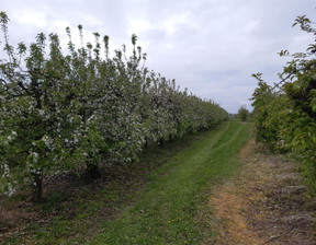 Dom na sprzedaż, Sandomierski (Pow.) Koprzywnica (Gm.) Błonie, 490 000 zł, 200 m2, 268