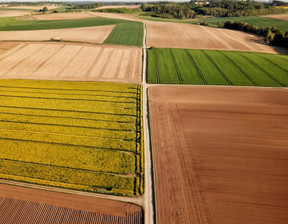 Rolny na sprzedaż, Ciechanowski (Pow.) Glinojeck (Gm.) Zalesie, 890 000 zł, 130 000 m2, 277