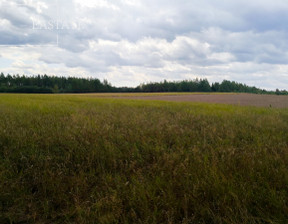 Rolny na sprzedaż, Tucholski Śliwice Łąski Piec, 499 000 zł, 33 600 m2, 188570