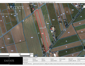 Działka na sprzedaż, Żyrardowski Wiskitki Nowy Drzewicz, 599 000 zł, 13 150 m2, 561550