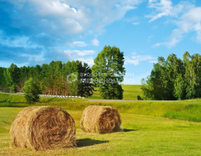 Rolny na sprzedaż, Nakielski Nakło Nad Notecią Gorzeń, 382 000 zł, 100 397 m2, BYD-GS-54
