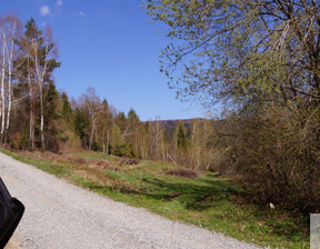 Budowlany na sprzedaż, Myślenicki (pow.) Pcim (gm.) Pcim, 1 490 000 zł, 5400 m2, ll