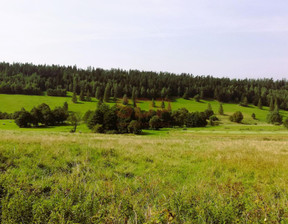 Budowlany na sprzedaż, Kłodzki Stronie Śląskie Czarna Góra, 351 248 zł, 2341,65 m2, 35467