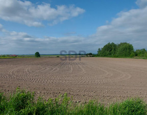 Działka na sprzedaż, Średzki Miękinia Wilkszyn, 1 593 000 zł, 5900 m2, 31103