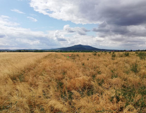 Działka na sprzedaż, Wrocławski Sobótka Michałowice, 249 000 zł, 7500 m2, 15335