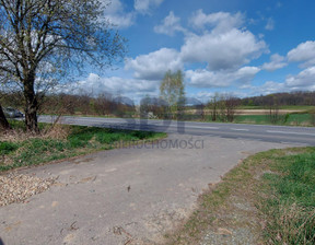 Działka na sprzedaż, Trzebnicki Oborniki Śląskie Borkowice, 250 000 zł, 3354 m2, 34750