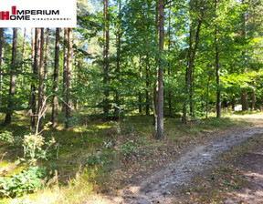 Leśne na sprzedaż, Kartuski Przodkowo Rąb Jarzębinowa, 260 000 zł, 18 628 m2, 277235