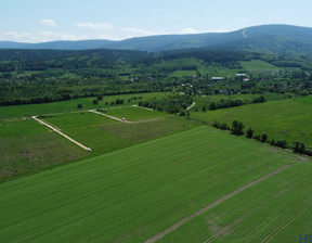 Budowlany na sprzedaż, Lubański Świeradów-Zdrój Jarzębinowa, 294 000 zł, 1500 m2, 920399