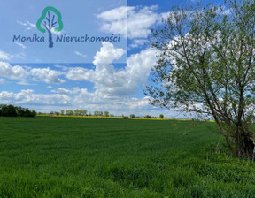 Rolny na sprzedaż, Tczewski Tczew Czatkowy, 780 000 zł, 26 000 m2, 548