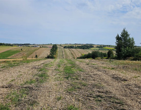 Budowlany na sprzedaż, Krakowski Skała Cianowice Duże, 320 000 zł, 4800 m2, SMK-GS-6055