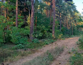 Działka na sprzedaż, Węgrowski (Pow.) Stoczek (Gm.) Stare Lipki, 500 000 zł, 32 000 m2, 12