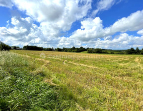 Budowlany na sprzedaż, Wejherowski Gniewino, 480 000 zł, 4300 m2, CP1404724