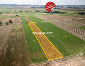 Budowlany na sprzedaż, Jędrzejowski Sędziszów Mstyczów, 55 000 zł, 3100 m2, BS5-GS-302446