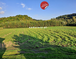 Rolny na sprzedaż, Proszowicki Koniusza Polekarcice, 220 000 zł, 4800 m2, BS5-GS-286272