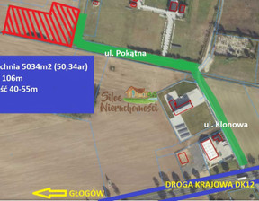 Działka na sprzedaż, Głogowski Głogów Wilków Pokątna, 599 900 zł, 5034 m2, 305075