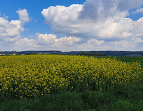 Działka na sprzedaż, Krakowski Skała Przybysławice, 220 000 zł, 1000 m2, 749