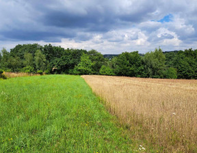 Działka na sprzedaż, Krakowski Skała Świnczów, 79 000 zł, 700 m2, 736