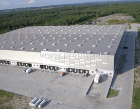 Magazyn do wynajęcia, Sosnowiec M. Sosnowiec Jęzor, 33 600 zł, 2400 m2, PRO-HW-12553