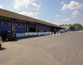 Magazyn do wynajęcia, Sosnowiec M. Sosnowiec, 42 000 zł, 2000 m2, PRO-HW-12750