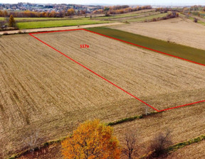 Działka na sprzedaż, Wielicki (pow.) Biskupice (gm.) Bodzanów, 1 170 000 zł, 11 700 m2, STR-GS-2874