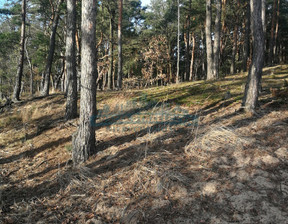 Leśne na sprzedaż, Nowodworski Czosnów Izabelin-Dziekanówek, 1 275 000 zł, 17 000 m2, 4118/2113/OGS