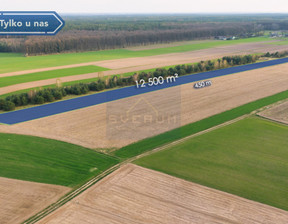 Rolny na sprzedaż, Radomszczański Wielgomłyny Rogi, 69 000 zł, 12 500 m2, CZE-903753