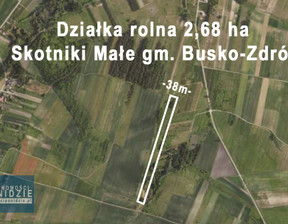 Działka na sprzedaż, Buski (Pow.) Busko-Zdrój (Gm.) Skotniki Małe, 60 000 zł, 26 843 m2, 1234