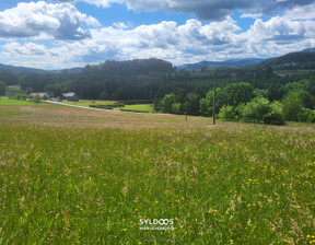 Działka na sprzedaż, Limanowski Limanowa Stare Rybie, 265 000 zł, 6700 m2, SYL-GS-4860-3